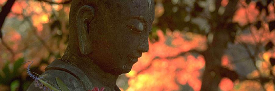 名古屋市の千種区にある寺や神社について詳しく解説するサイト『名古屋市千種区の寺・神社』